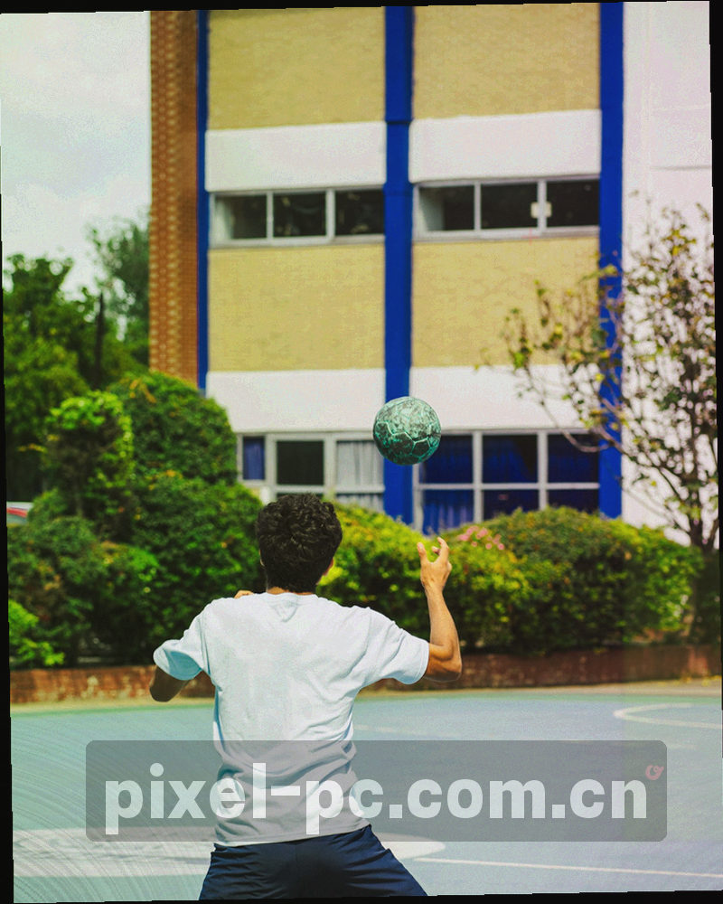 手机屏幕中资源下载与服务清单模块的抽象界面特写